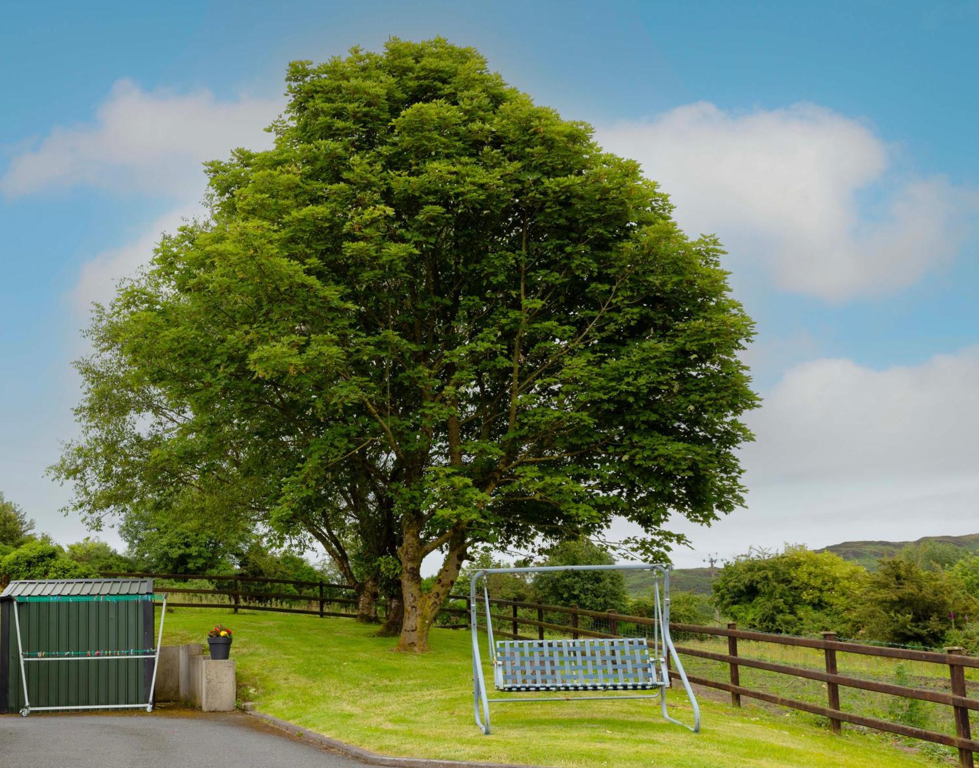CloghogeMountain Nest At The Foot Of Slieve Gullionアパートメント エクステリア 写真